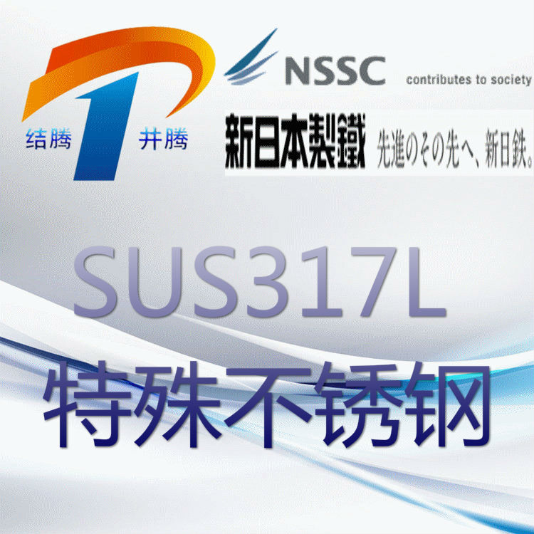 SUS317L